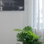 Luxury 2 公寓 施瓦巴赫